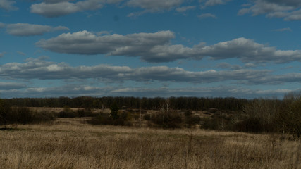 spring nature trees blooming flowers pine lake Russia middle lane water reservoir gardens sky clouds