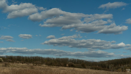 spring nature trees blooming flowers pine lake Russia middle lane water reservoir gardens sky clouds
