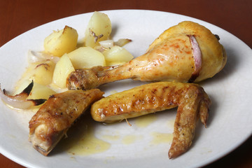 pollo