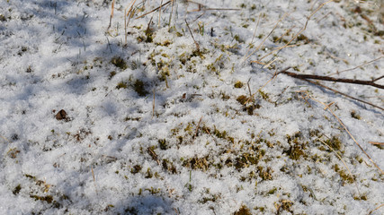 frisch gefallener Schnee glitzert in der Sonne