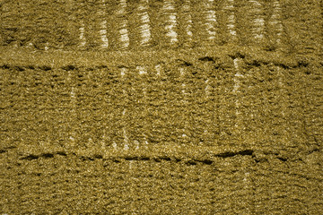 Detailed texture of glittering golden dust surface. Golden Shiny Wallpaper , Perfect for Christmas, New Year or any other Holidays Background. Golden fine powder