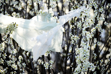 Pieces of polyethylene on the branches of flowering trees. The problem of environmental pollution.