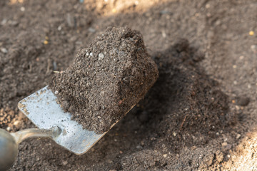 Anpflanzen - erde auf Schaufel im Beet im Garten im Frühling - gartenarbeit