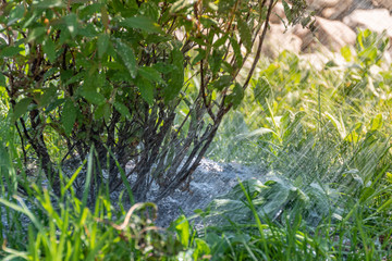 Hitzesommer mit Wassernot - Wasserknappheit - Trockenheit