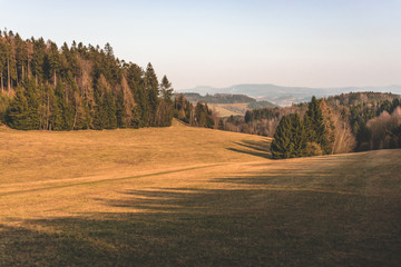 autumn landscape in countryside