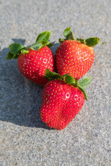 Erdbeeren