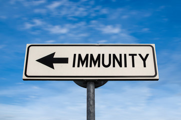 Immunity road sign, arrow on blue sky background. One way blank road sign with copy space. Arrow on a pole pointing in one direction.