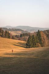 young woman runs in autumn landscape in the countryside