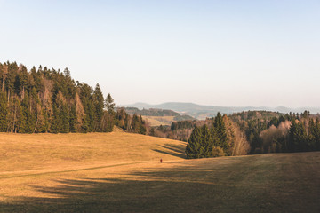 young woman runs in autumn landscape in the countryside