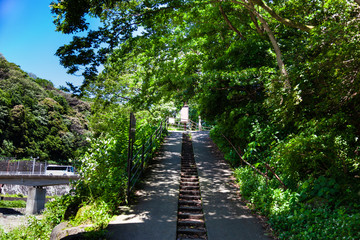 こもれびの坂道