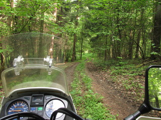 droga przez las na motocyklu © Tomek