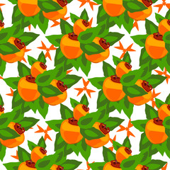 persimmon with leaves seamless pattern on a white background with decorative elements