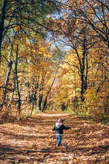 Fototapeta premium little girl in autumn park
