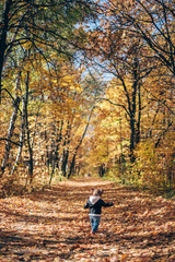little girl in autumn park