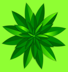 vector illustration green background and the abstract colored round leaves