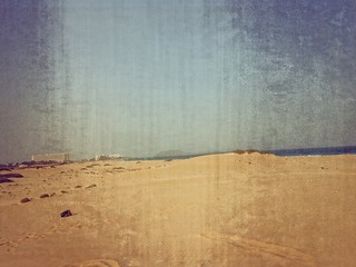 landscape from the Spanish Canary Island Fuerteventura with dunes and the ocean