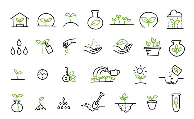 Set of growing seedlings icons. Plant shoots. Agriculture technology. Vector line hand-drawn sketch.