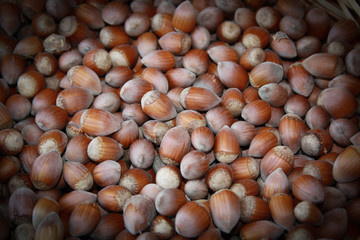 Fresh hazelnuts on a wooden table