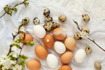Easter eggs card in provence french style. Mix of chicken and quail eggs of natural color, blossoming cherry and apricots branches and feathers on delicate white scarf napkin, selective focus
