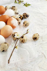 Easter eggs card in provence french style. Mix of chicken and quail eggs of natural color, blossoming cherry and apricots branches and feathers on delicate white scarf napkin, copy space