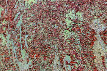 Rusty colored metal with cracked paint, grunge background. Grunge, vintage. Close-up of an old green painted sheet metal, metal door with peeling paint and rust