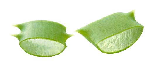 Fototapeta premium Aloe vera