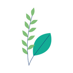 leafs nature ecology isolated icon vector illustration design