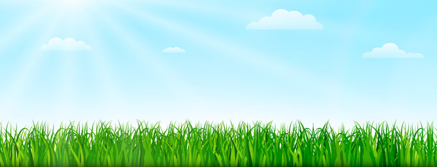 Fototapeta premium Spring nature background with green grass and blue sky. Vector illustration