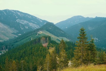 Beautiful Low Tatras alpine landscape from the peak of Chopok, Slovakia. With a retro vintage instagram filter