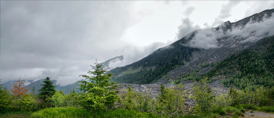 Panoramic view of the mountain slopes, the sun's rays shine through the fog. The slopes are covered with coniferous forest. Separate spruce in the foreground
