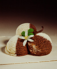 ice cream chocolate and vanilla
Vanilla flower on top