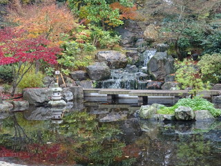 Fototapeta na wymiar asian garden in a park in London city