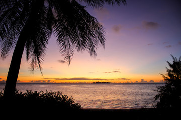 Fototapeta na wymiar sunset seascape epic clouds with tropical trees in saipan