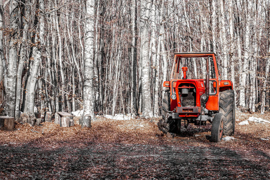 Close up view of one old red tractor abandoned in the forest. Concept for industrial pollution of nature.
