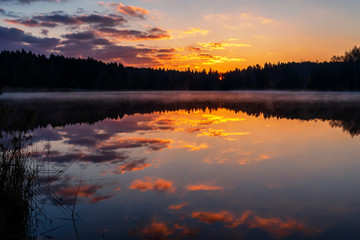 Obraz premium Zalew Czapielówka - Puszcza Knyszyńska, Podlasie, Polska