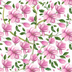 Magnolia watercolor seamless floral pattern