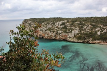 Naklejka premium green bush on a background of a bay with blue water and a hill