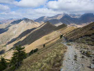 path to the mountain