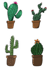 cactus handgetekende illustratie, kunstmuur inspiratie