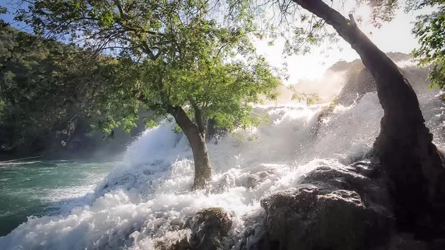 Waterfall, lonely tree in the stream of Skradinski buk waterfall, evening sun beams. KRKA national park, Croatia