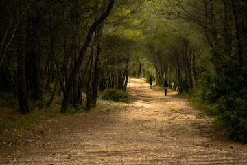 A man and a woman are  running at a forest.