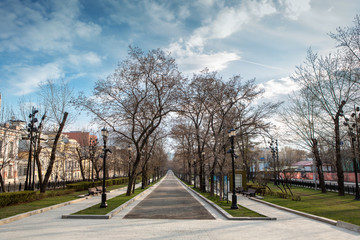 Park alley without people. Sunny spring day. Self-isolation in the city. Center of Moscow, Tverskaya Boulevard.
