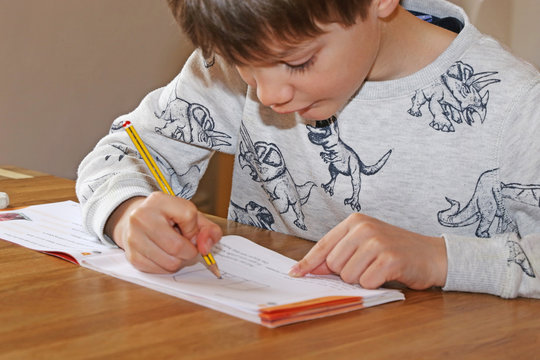 Grundsch&uuml;ler beim Heimunterricht (Homeschooling)