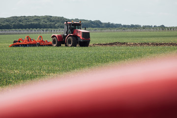 red tractor in a green field on a sunny day plows the soil while driving