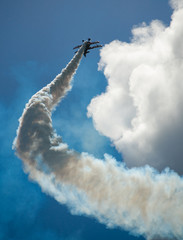 Avions de voltige © Morgan