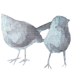 Watercolor Birds Hand Drawn Illustration isolated on white