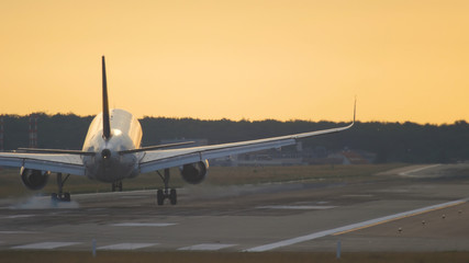 Fototapeta na wymiar Airplane landing at the early morning