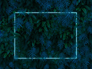 Plant with blue neon light frame 