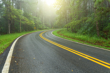 Asphalt road through the forest in rainy season