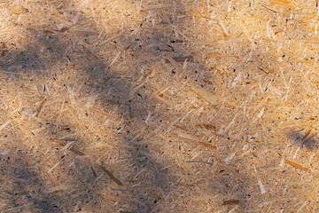 Close-up view of a plywood surface with black shadow from the trees.  black leaf shadow on a brown plywood surface. Abstract background, plywood texture